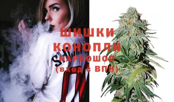 apvp Алзамай