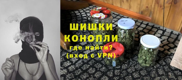 apvp Алзамай